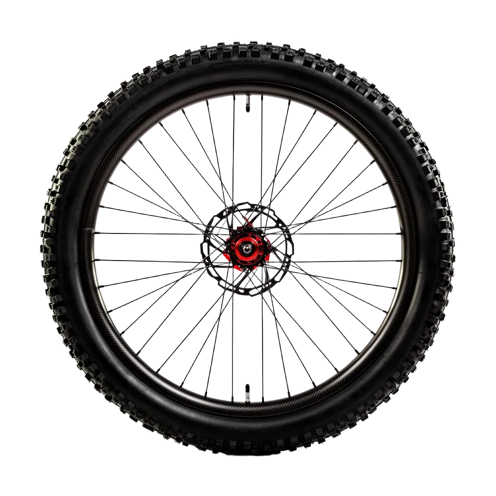 Roda de Mountain Bike premium